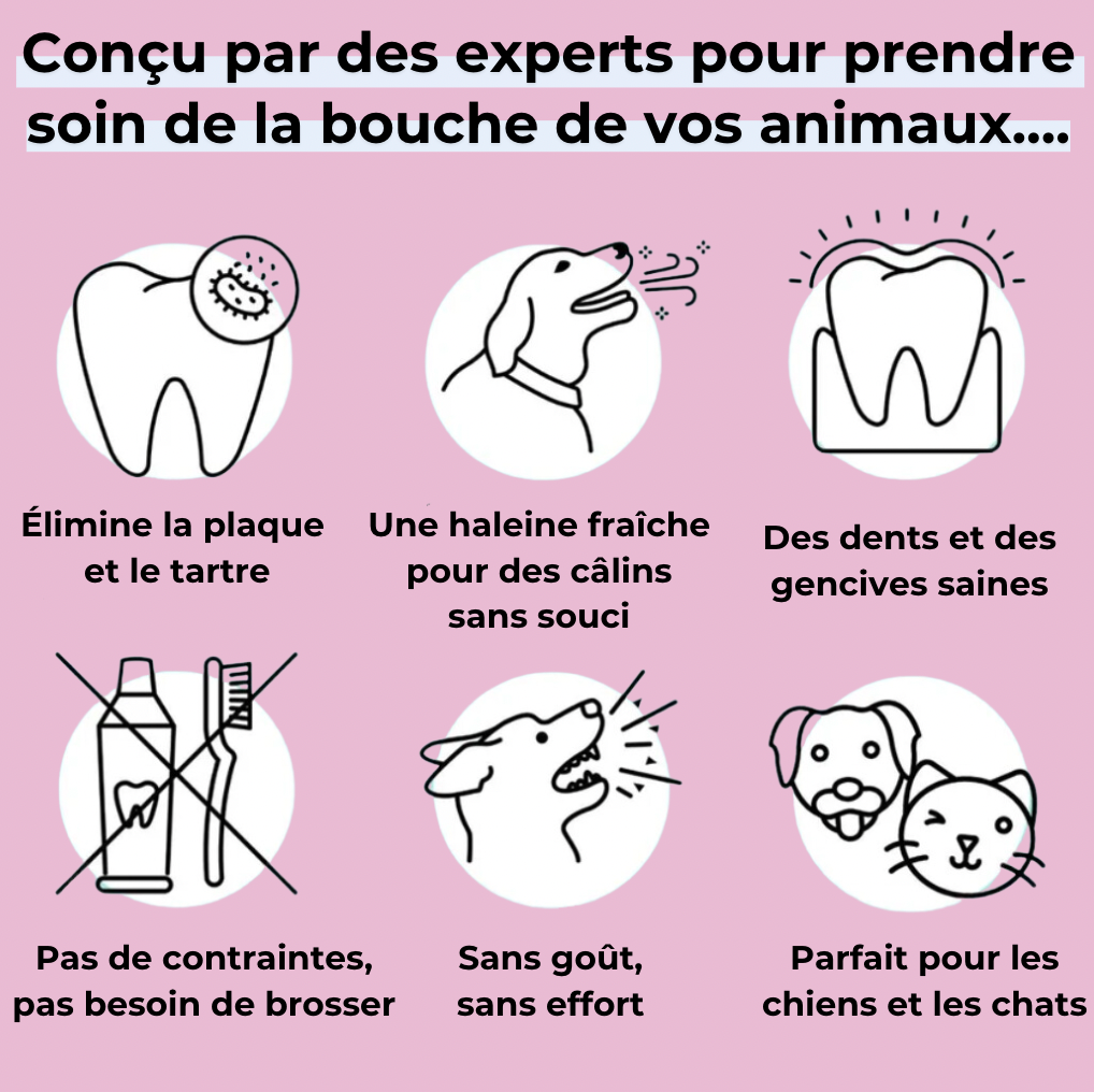 Spray dentaire anti-tartre chiens/chats