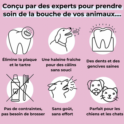 Spray dentaire anti-tartre chiens/chats